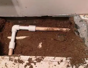 洛江测漏水哪家好