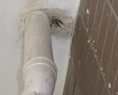 洛江漏水检测哪家好